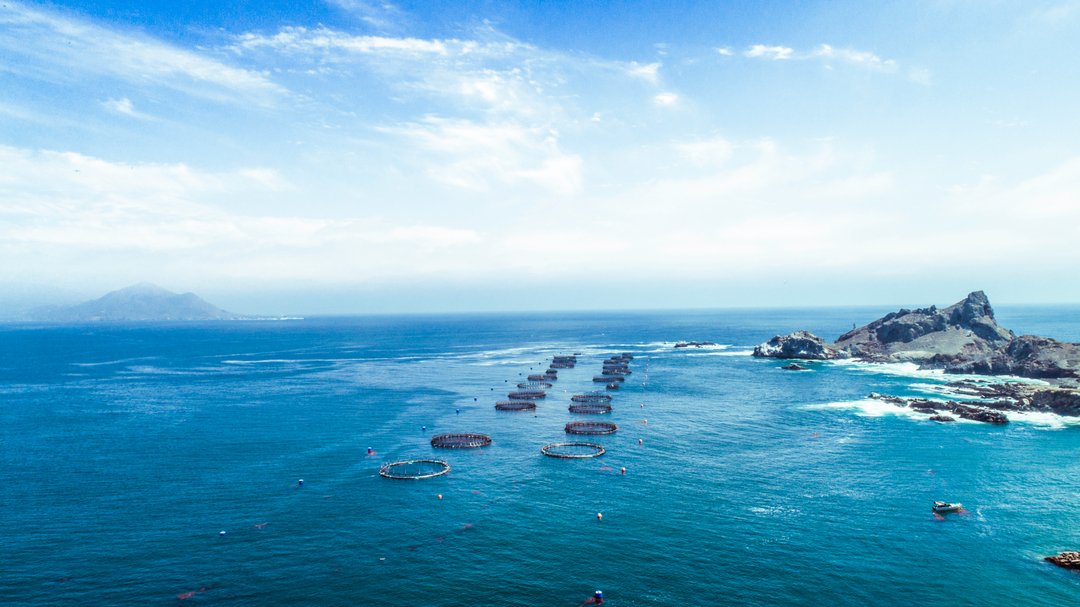 We're celebrating summer with a continued commitment to the best practices to benefit our land, our water, our fish, and our people. Sustainable aquaculture, when done well, can help with cleaner, healthier oceans and more sustainable livelihoods for those who work in the fishing