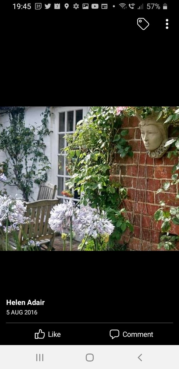 High summer at strawberrycottage.co.uk