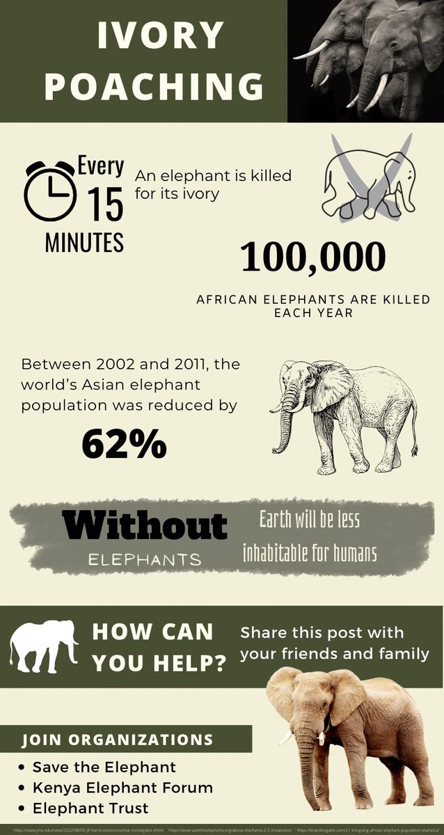 AnhWRI39C's tweet photo. Elephants are the world’s ecosystem engineers. They modify landscapes, create micro habitats for small animals, and facilitate plant diversity through seed dispersal. Earth would not be an ideal place to live without them. Stop ivory poaching!
#39canimals #banivorytrade https://t.co/VCeVHdJmoR