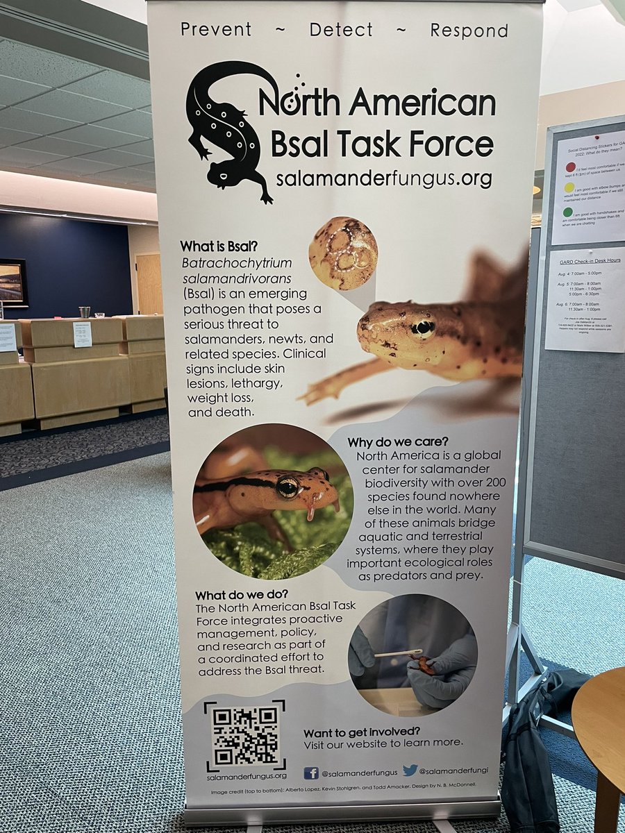 Alberto Lopez (@al_lopeztorres) on Twitter photo Cool to see my picture (Top) being used at the Global Amphibian and Reptile Disease Conference! 😎 #ConservationPhotography #GARD2022 Cool to see my picture (Top) being used at the Global Amphibian and Reptile Disease Conference! 😎 #ConservationPhotography #GARD2022