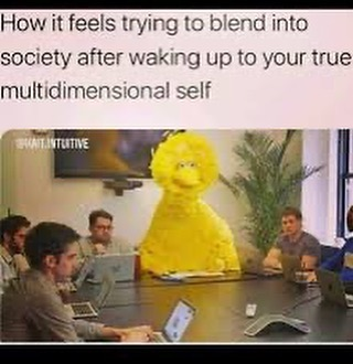 AlexOswald15's tweet image. #superstrings