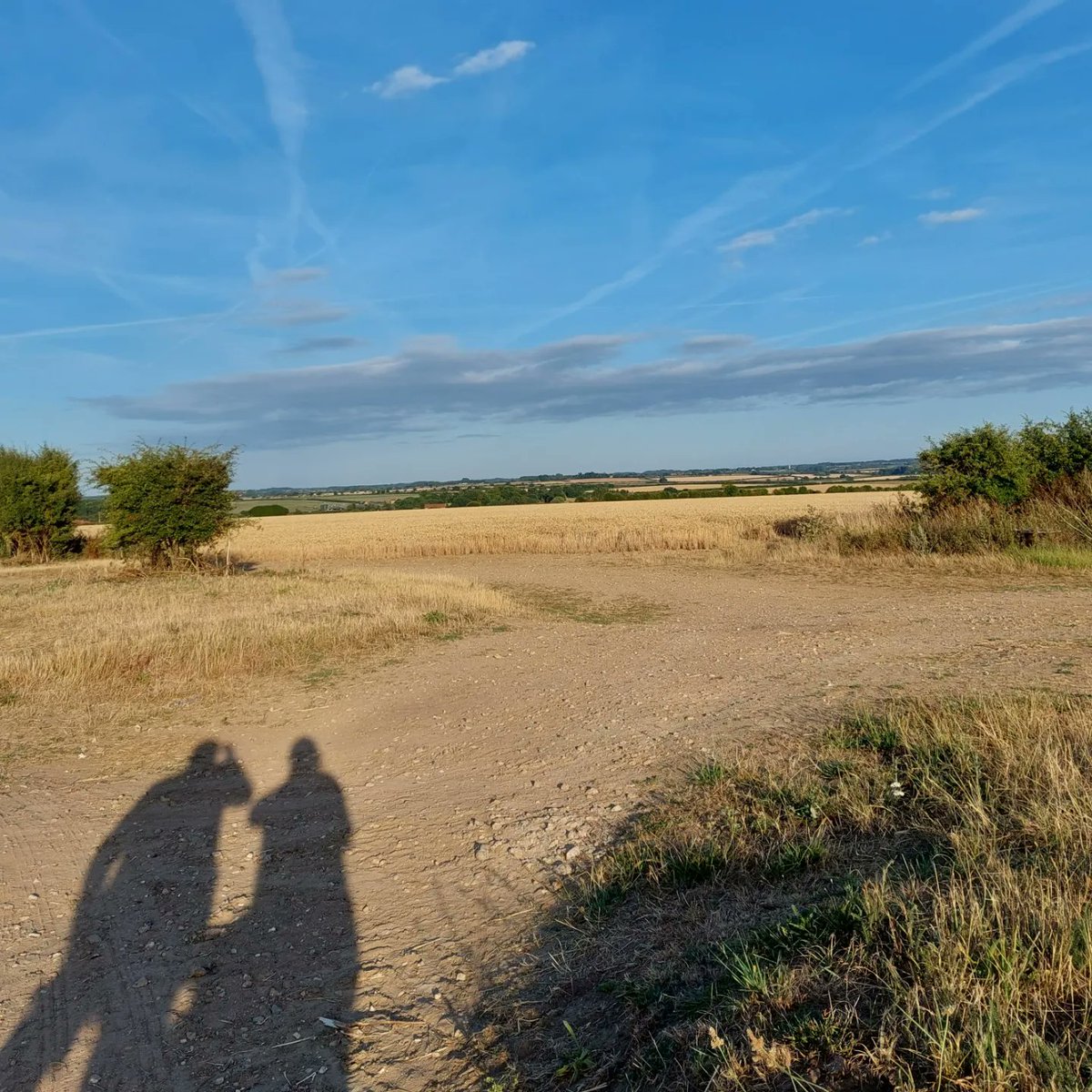 ControlTowerNC's tweet photo. Sometimes you just need to
Stop
Take a breath
and Look
#NorthNorfolk #OpenLandscape
#highsummer
#cycling https://t.co/U9Bh36wYg9
