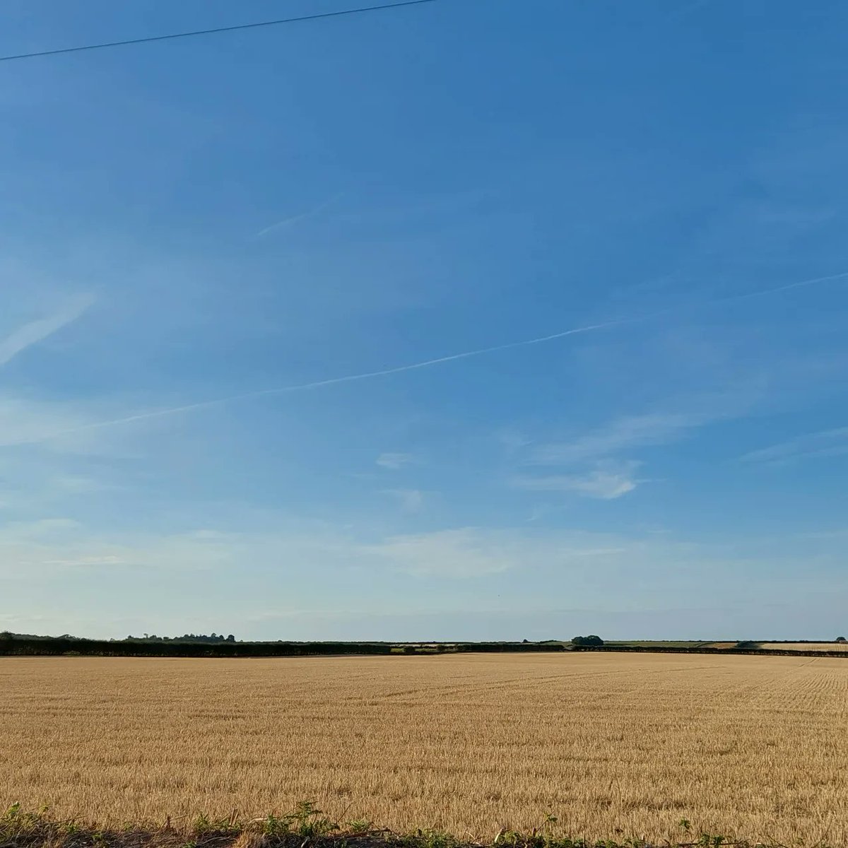 ControlTowerNC's tweet photo. Sometimes you just need to
Stop
Take a breath
and Look
#NorthNorfolk #OpenLandscape
#highsummer
#cycling https://t.co/U9Bh36wYg9