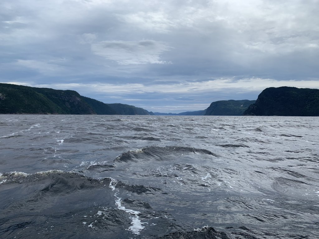 WorldExplorers2's tweet photo. Zodiac tour of the Saguenay-St. Lawrence Marine Park. https://t.co/gWUGoO4y7k
