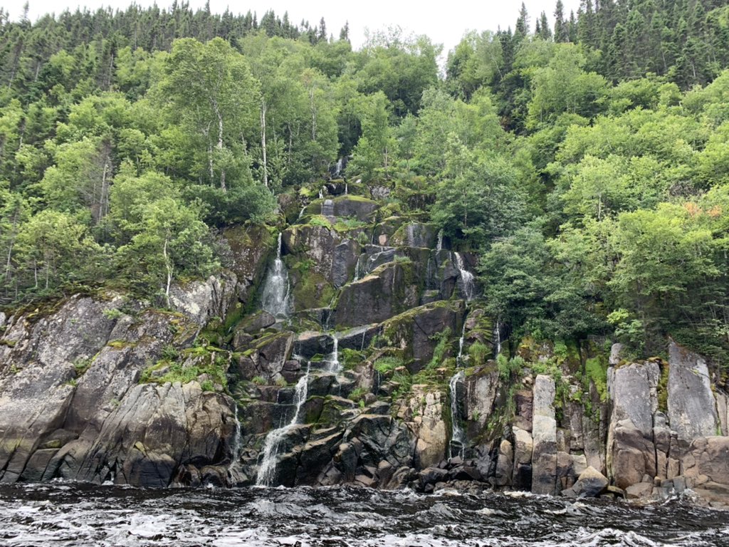 WorldExplorers2's tweet photo. Zodiac tour of the Saguenay-St. Lawrence Marine Park. https://t.co/gWUGoO4y7k