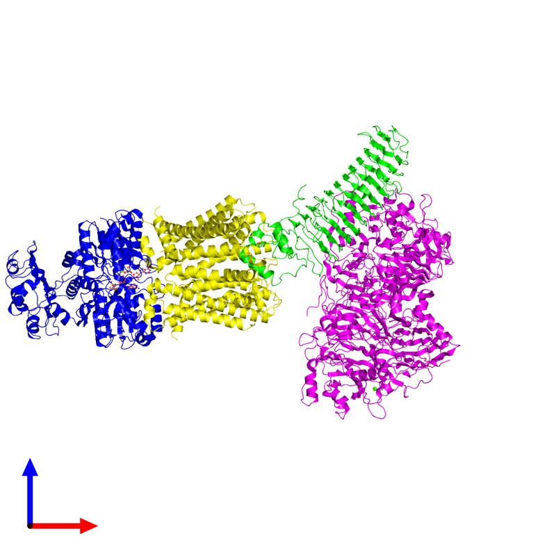 PDBimagebot's tweet photo. 'CryoEM structure of the ABC transporter NosDFY complexed with n..' Find it at https://t.co/gKyUPi0OgL https://t.co/i0v1tTzeRY