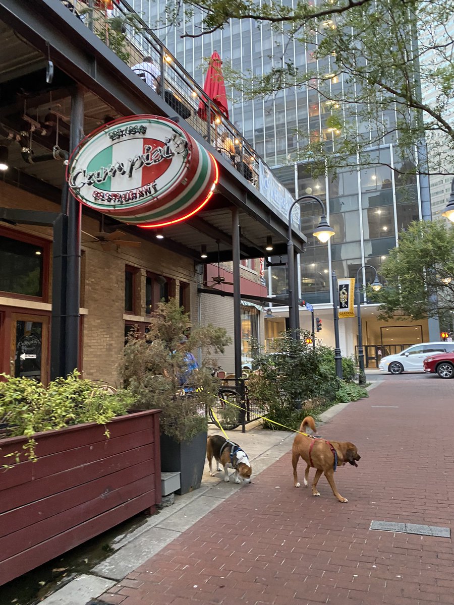 KimHaml10's tweet photo. Yummy pizza on the patio at @CampisisPizza in Downtown Dallas at Stone Street Gardens! 🍕🍷🐶🐕 #exploredfw @AlrightHaml10 https://t.co/bqkSLWK0Qu