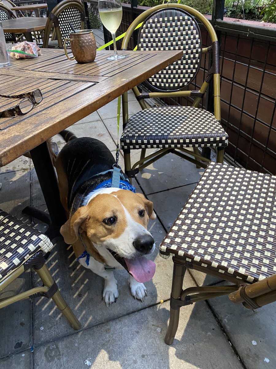 KimHaml10's tweet photo. Yummy pizza on the patio at @CampisisPizza in Downtown Dallas at Stone Street Gardens! 🍕🍷🐶🐕 #exploredfw @AlrightHaml10 https://t.co/bqkSLWK0Qu