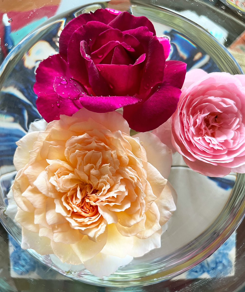 Fritz Eifrig tweet media