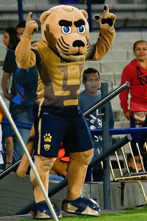 JaguarEscultura's tweet photo. #pumas oye Goyo de que tamaño te gusta que te la met@n en Barcelona... #xvideosِ https://t.co/uNH6WPIUh3