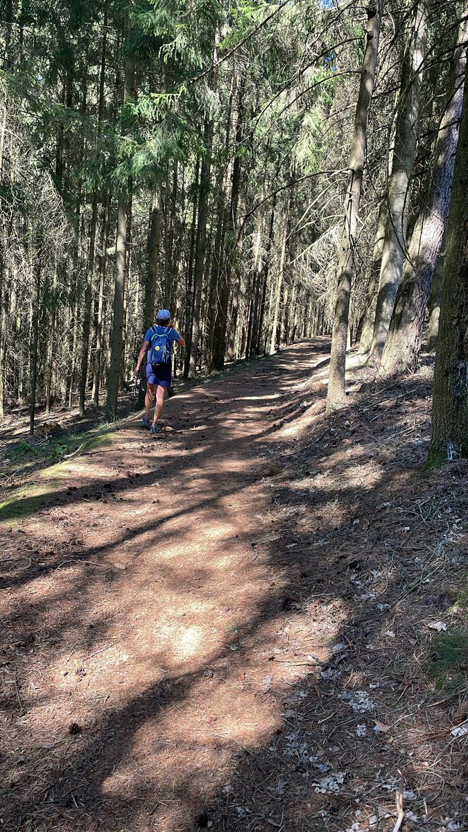 thomas2508's tweet photo. Die 10 Helden haben Thüringen erreicht.🥾🇩🇪💪
#GermanTrail #Tag9 #50km https://t.co/hDNU4y7czA