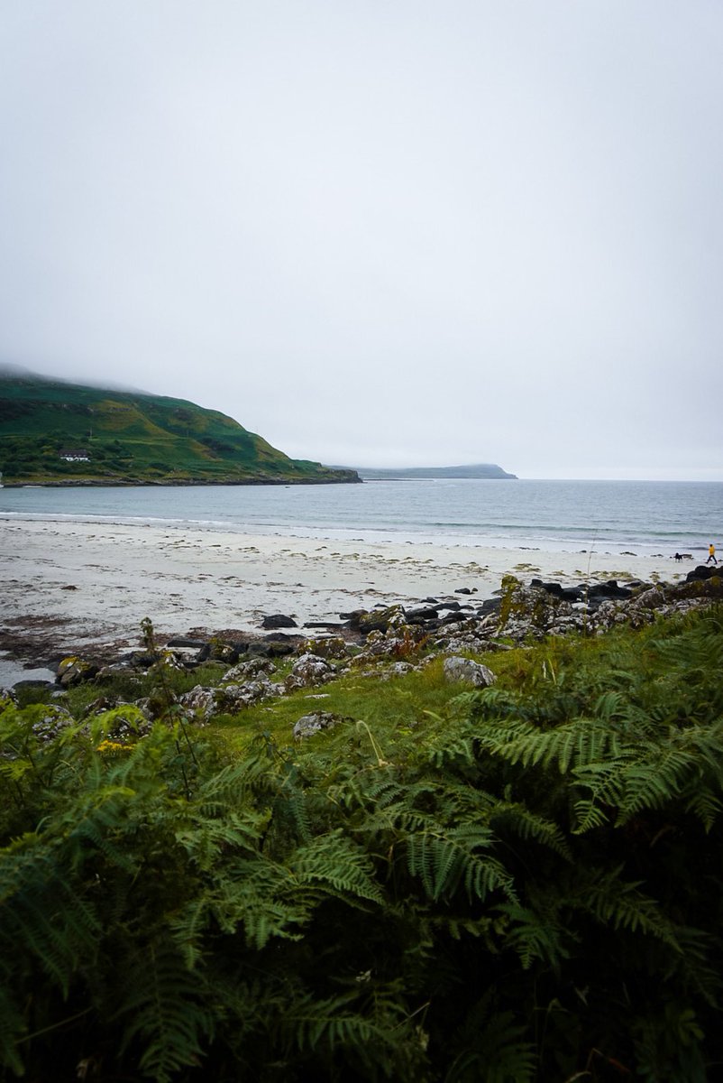 A moody day at Calgary Bay today 🌊