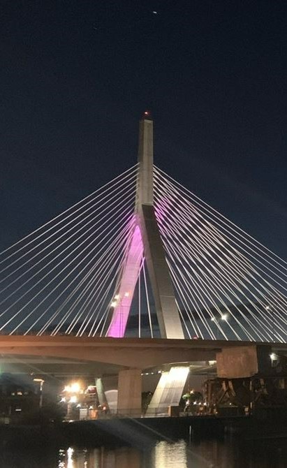 Mass. Transportation tweet media