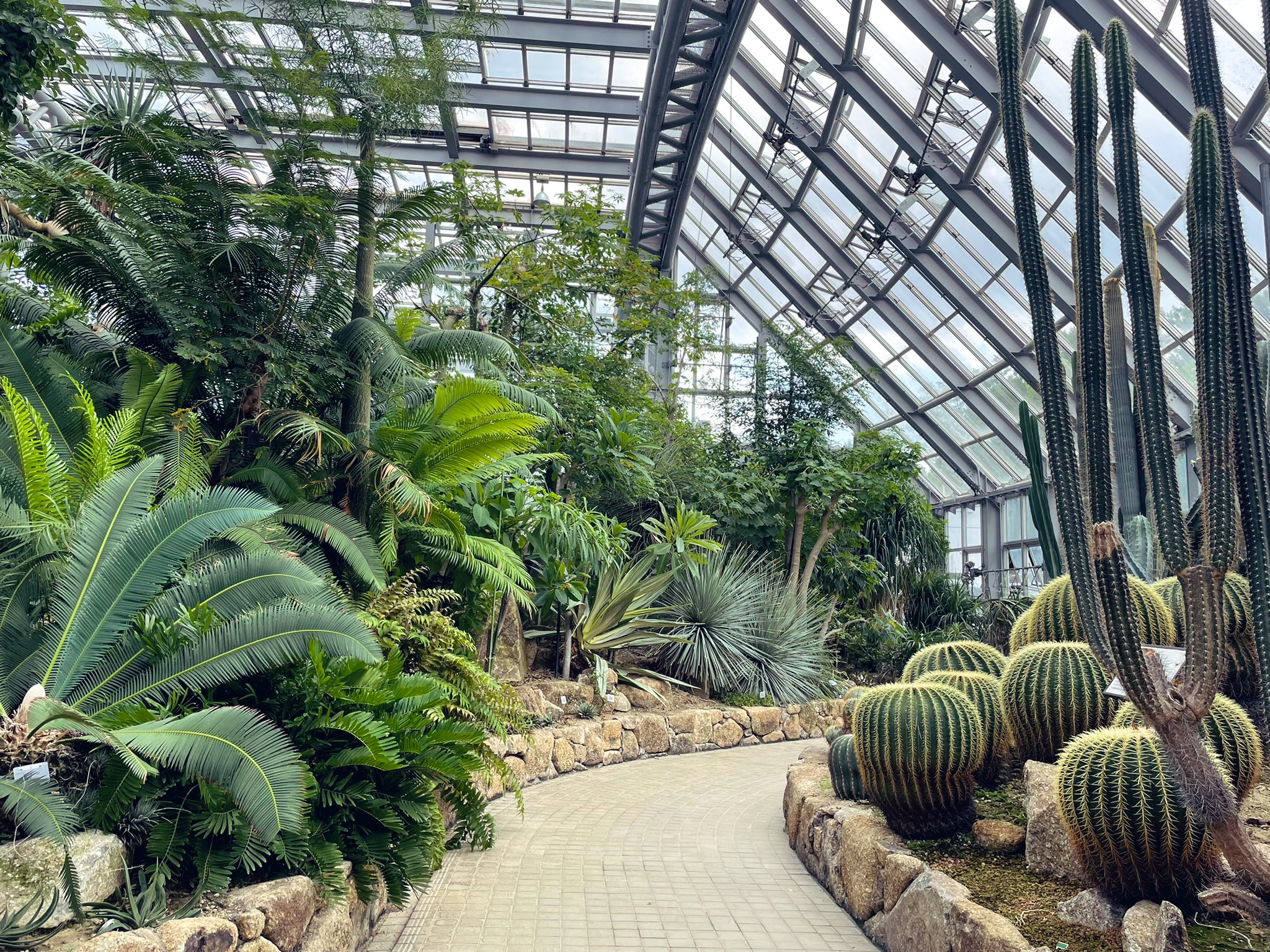 生物群 京都府立植物園の温室めっちゃ好きだ T Co Tougdgiiuf Twitter