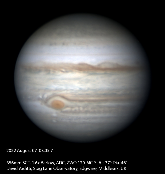 David Arditti tweet media