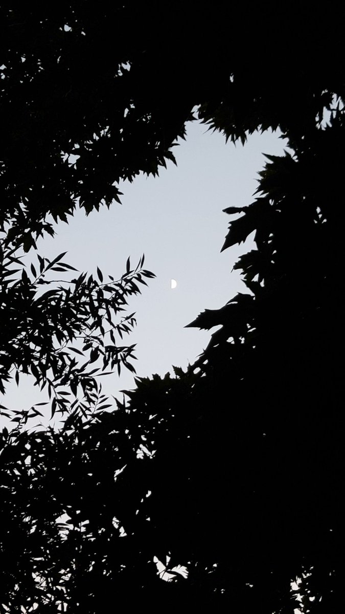 katayoun__'s tweet photo. 🌙☁️ https://t.co/oWcD2LLq4q
