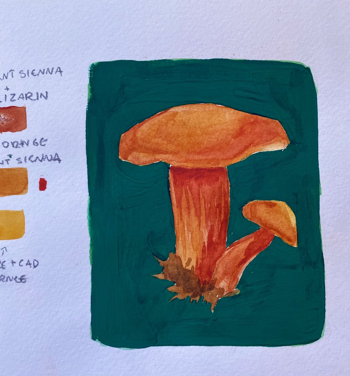 hey twitter! here’s a bolete watercolor +gouache sketch