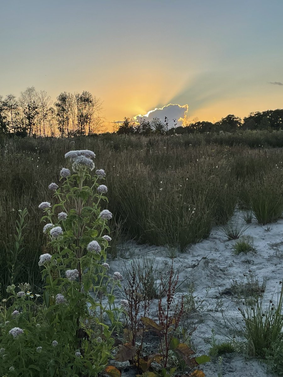 Eind van een mooie dag, zonsondergang.
