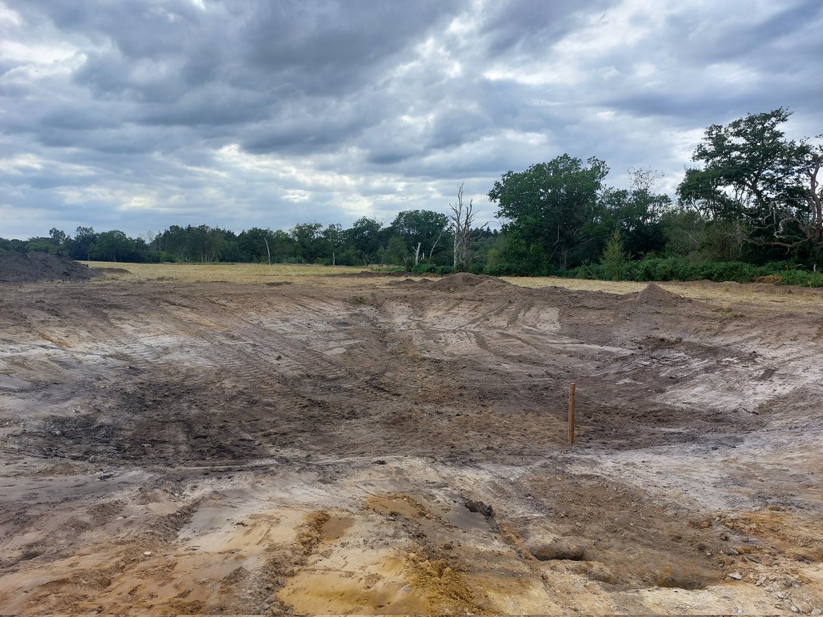 carlsayerUCL's tweet photo. Ressurected #ghostpingo ponds waiting for rain in Norfolk's Brecklands. Water will cover the mud of 100s-1000s years ago exposed on the bed. In spring dormant seeds of rare wetland plants will wake. The most positive form of wetland restoration https://t.co/lyTPdggafD