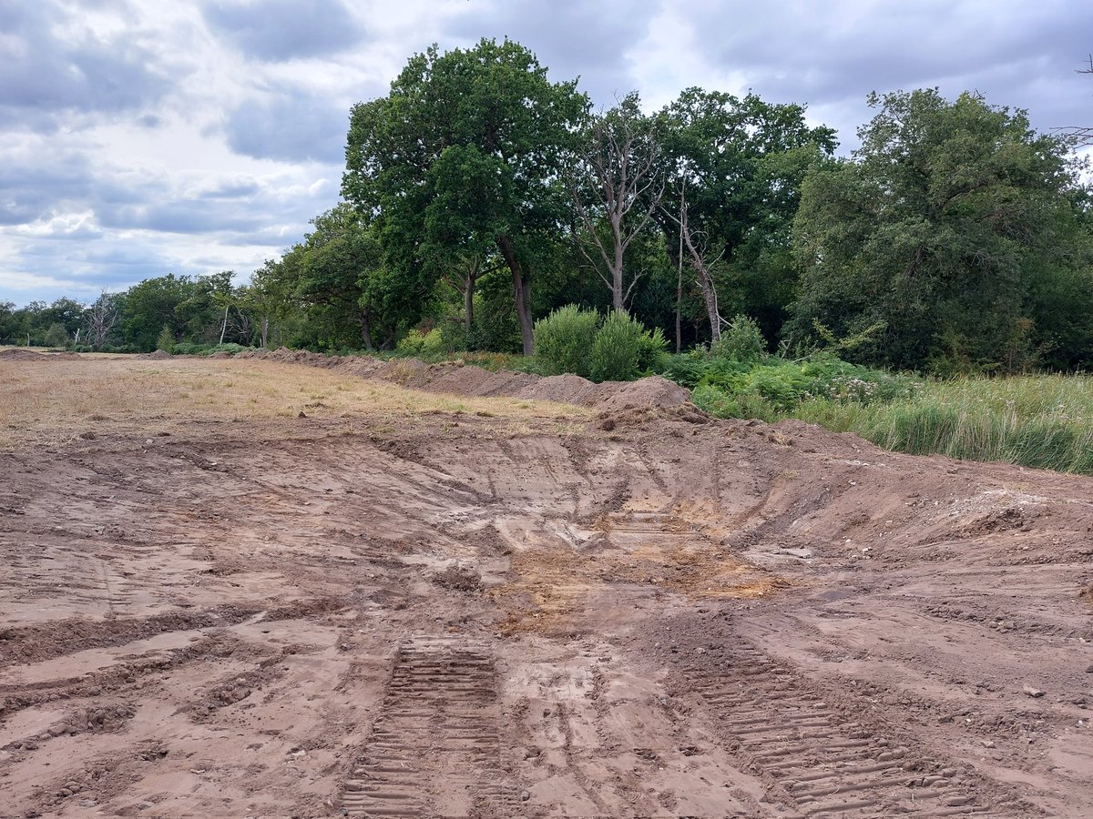 carlsayerUCL's tweet photo. Ressurected #ghostpingo ponds waiting for rain in Norfolk's Brecklands. Water will cover the mud of 100s-1000s years ago exposed on the bed. In spring dormant seeds of rare wetland plants will wake. The most positive form of wetland restoration https://t.co/lyTPdggafD