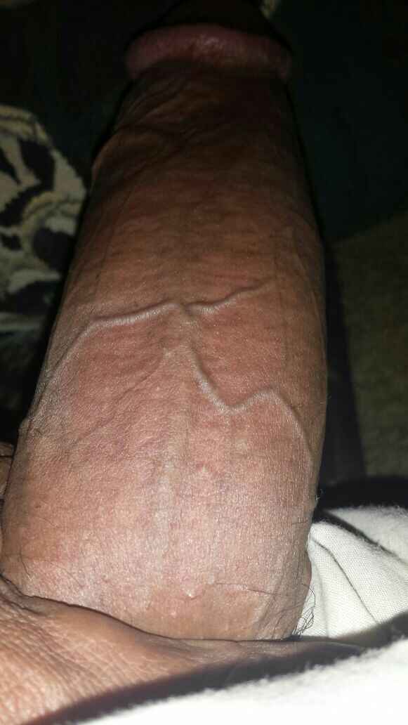 خدمات مجانيه