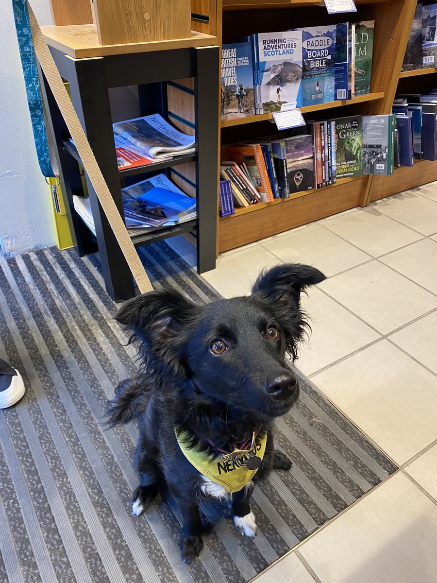 WatAviemore's tweet photo. As a dog friendly bookshop it makes our day when you bring in your pets to see us at Waterstones Aviemore 😊
Here are two of our latest canine visitors - Sami and Kiri ❤️ 🐶 🐾
#aviemore
#waterstones
#dogfriendly
#dogsinshops
#dogs https://t.co/zOVM2WW2Oj