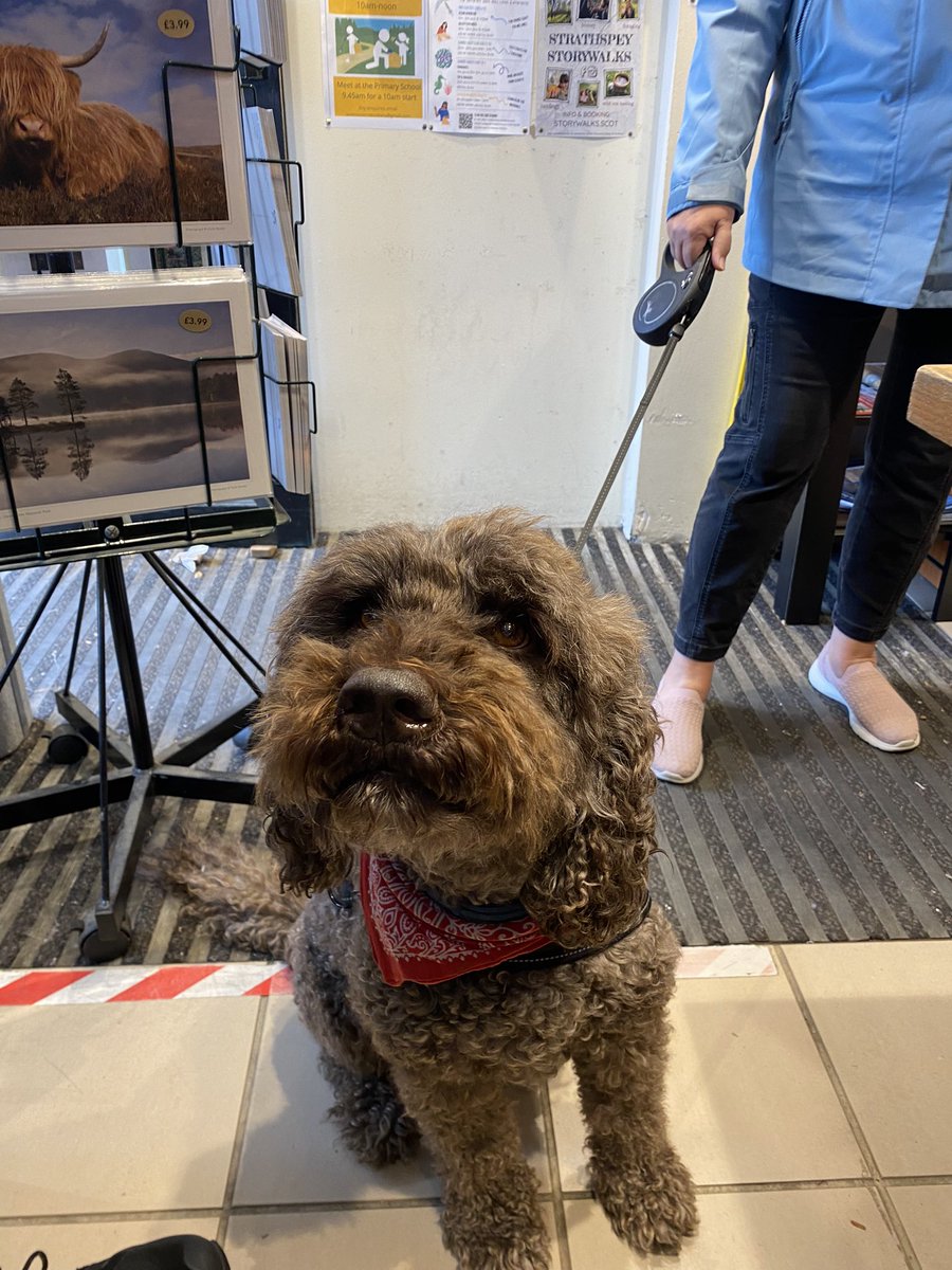 WatAviemore's tweet photo. As a dog friendly bookshop it makes our day when you bring in your pets to see us at Waterstones Aviemore 😊
Here are two of our latest canine visitors - Sami and Kiri ❤️ 🐶 🐾
#aviemore
#waterstones
#dogfriendly
#dogsinshops
#dogs https://t.co/zOVM2WW2Oj