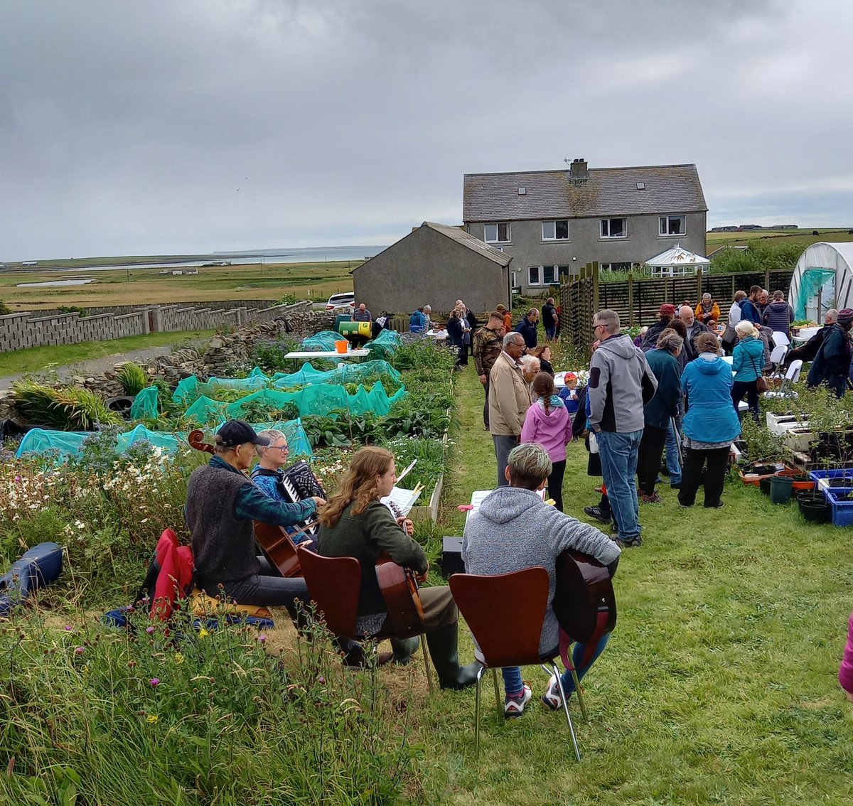 Sunday #sandaysoulka with fish BBQ, trees, tunes and of course cake! Well done everyone involved #islandliving #communityspirit #sanday #orkney