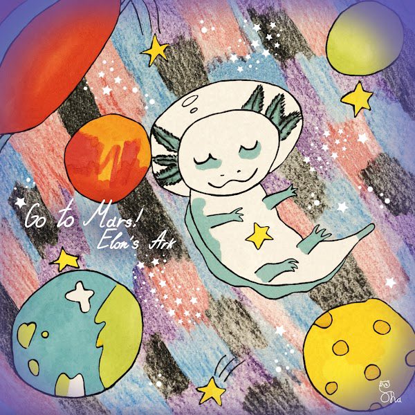 Sofialovecat's tweet photo. I shared with him information about my collection. I know he will hear me, feel me, and tell me:
Sofia, My Elons Ark Go to Mars!!!
@elonmusk #elonsark #elonsarkgotomars #nft #NFTcollections https://t.co/oSFrZDc3iz