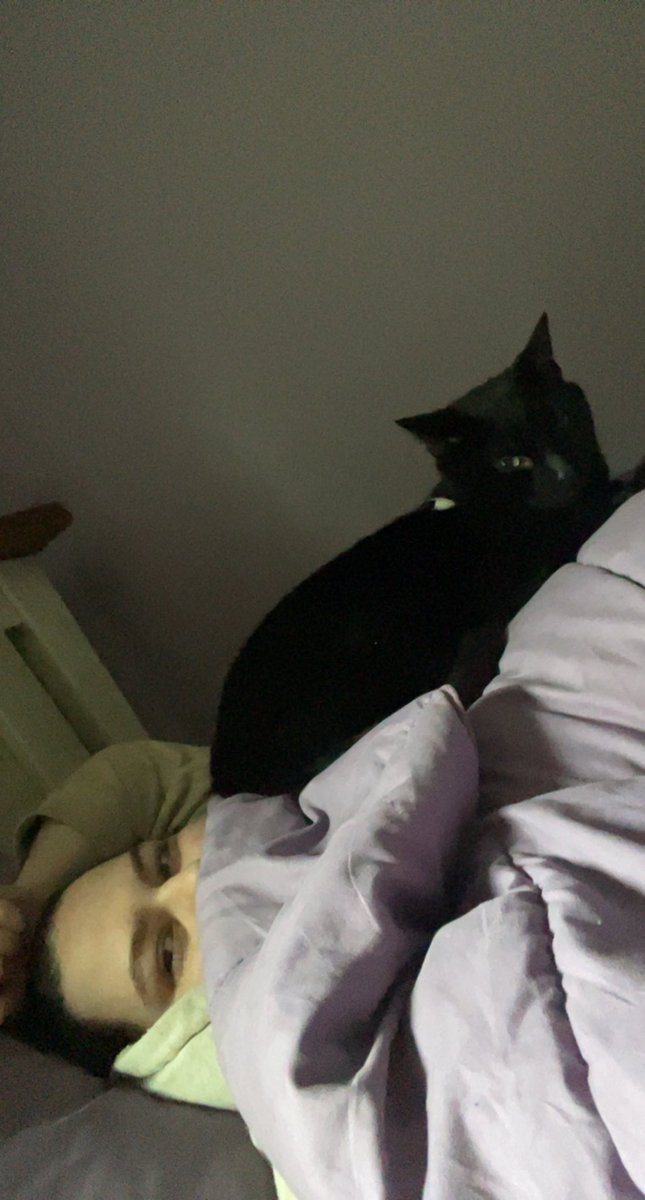 bsumettikuI's tweet photo. making me a little extra sad because my cat, George, has been missing for almost 2 months :( #bubblepets https://t.co/cl0wUFLdUn