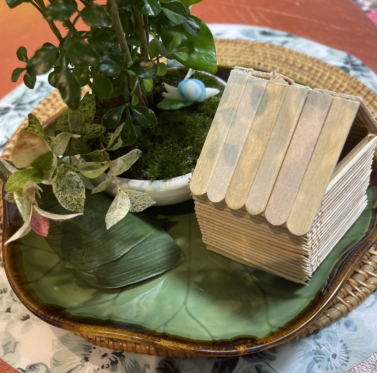 momoyuzuka1's tweet photo. #Item104
I made treehouse for my friend Mr.snail with toothpicks and Ice-Candy bar. It looks still it is big for my small bonsai 🙂 #GISH #teamNewHam https://t.co/yLh605afS1