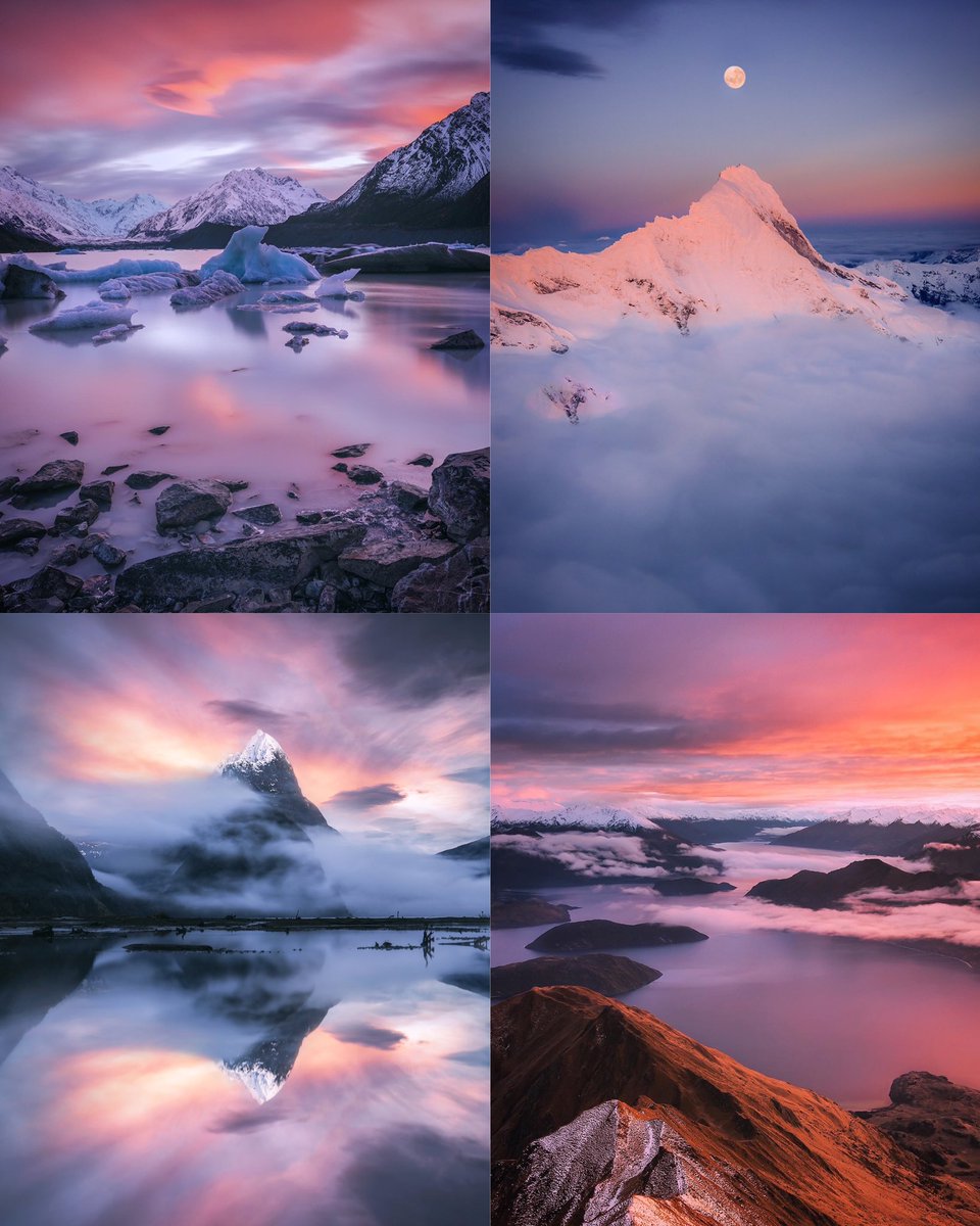 Rach Stewart tweet media