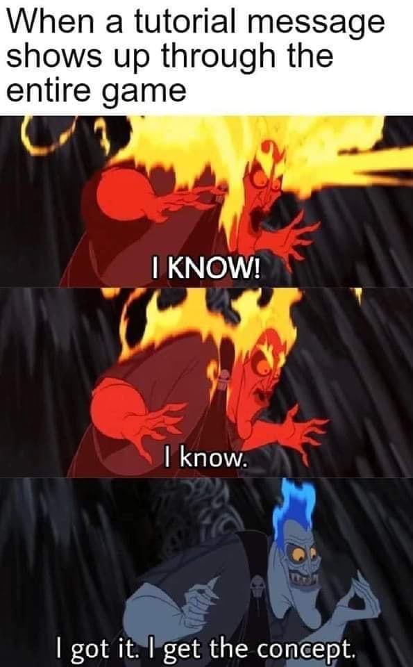 Rhys The Hedgecat tweet media