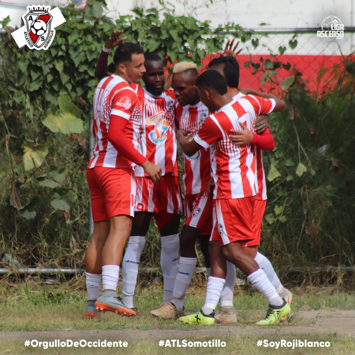 ASomotillo's tweet photo. ¡𝙂𝙊𝙊𝙊𝙊𝙇𝙇 𝙍𝙊𝙅𝙄𝘽𝙇𝘼𝙉𝘾𝙊! ❤️🤍❤️🤍❤️

🇮🇩 Sebastian Díaz nos pone adelante en el marcador. ⚽️😍

📲 https://t.co/OK7llGrmS1 https://t.co/U2MsIL6MOT