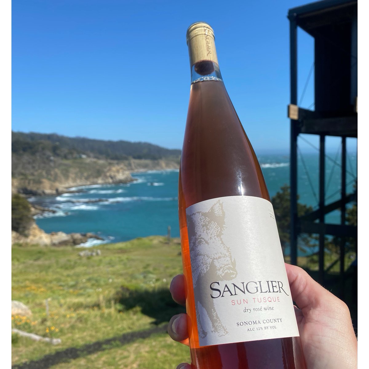 SanglierCellars's tweet photo. Throwing it back to a beautiful wine tasting in Jenner, California.
What a view! 
#californiawines #roseallday #sanglieraroundtown #sonomacounty https://t.co/hBEJZUpALB
