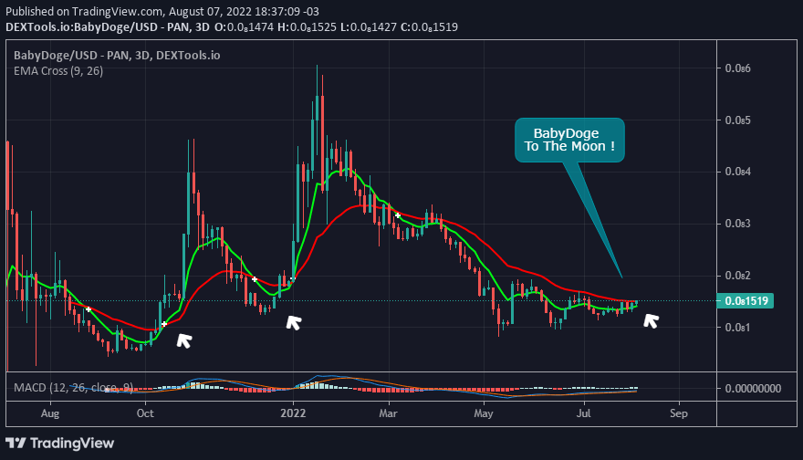 Fransil39123482's tweet photo. #BabyDogeCoin #BabyDoge 😍😍🚀 https://t.co/rreHY2DAQ8