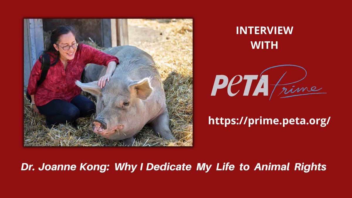 Joanne Kong tweet media