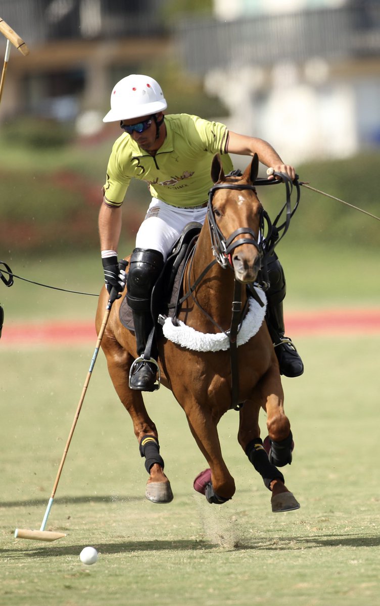 After the second chukker, BenSoleimani.com is 🆙 6-3 over L.E.N.Y.⭐️

With four chukkers left, don’t miss the conclusion to this thrilling final. 

Watch LIVE on <a href="/globalpolotv/">Global Polo Sports</a>✨

#USPALive #SantaBarbaraPolo 

📸: <a href="/dlominska/">Lominska</a>