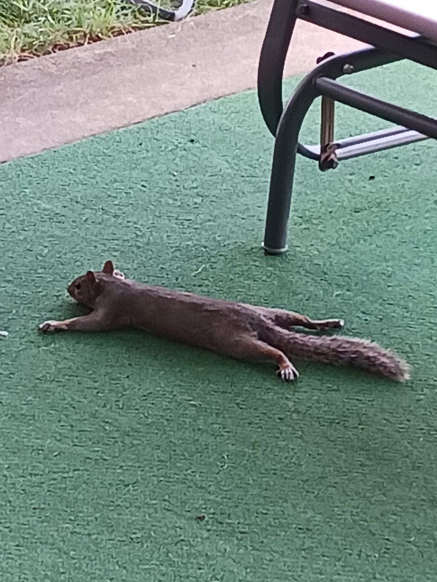 Cooling off on our porch in 100 degree heat.