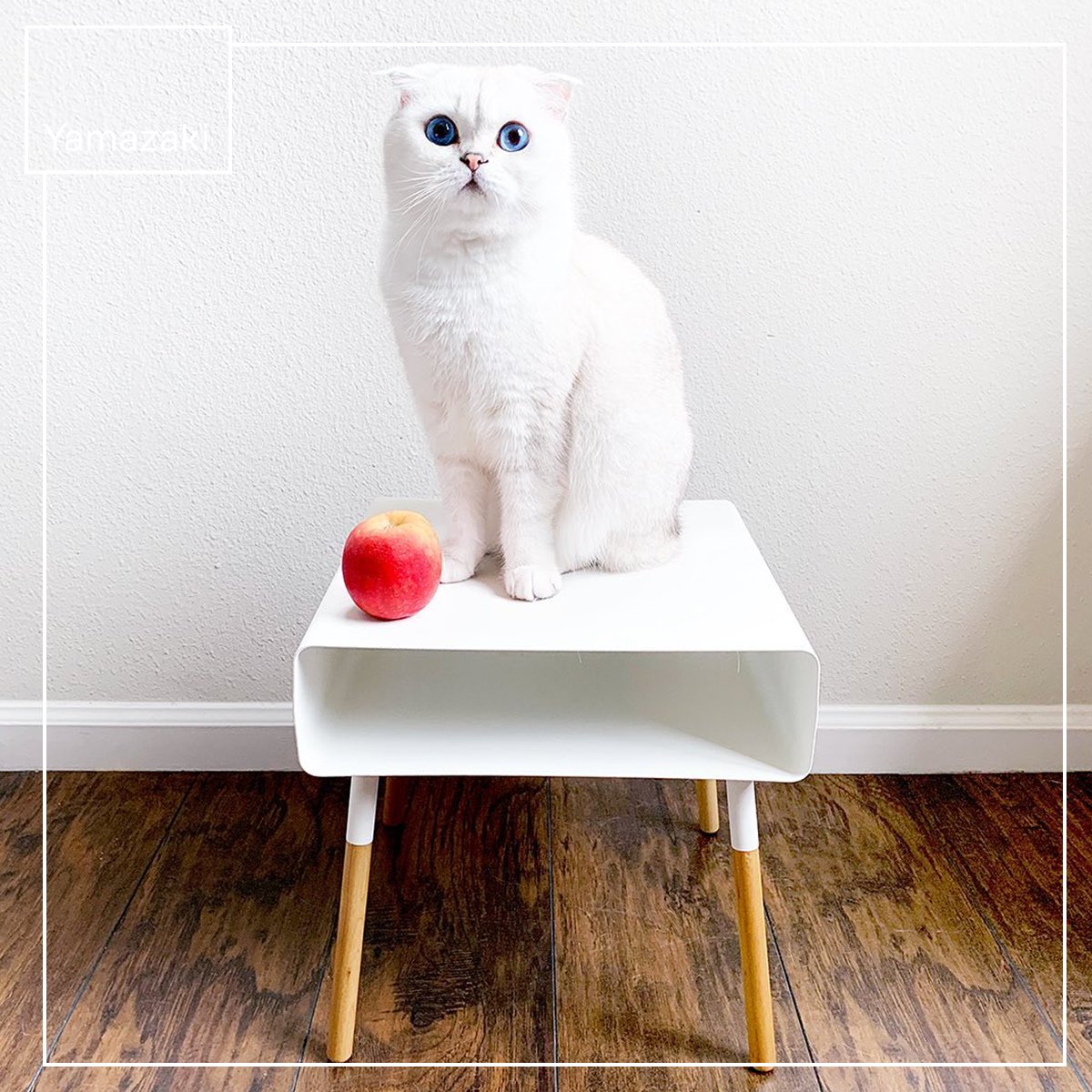 yamazakihome's tweet image. Back-to-school season got us like...

Photo by: @teddythefold
PLAIN Short Storage Table - Steel - Short

#yamazakihome #plain #storagetable #organizedhome #backtoschool #school #college #dormdecor #dormroom #schoolsupplies #deskorganization