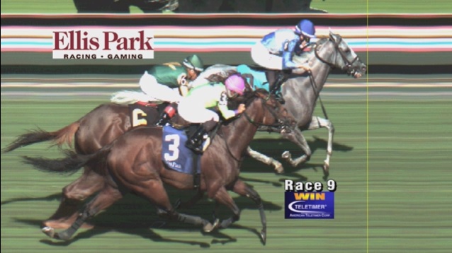 rebelsart's tweet image. Bravo 🇺🇸 Mlle Mickaëlle Michel 🇯🇵@MickaelleMichel and Gray's Fable 1st at @EllisParkRacing‼️🏇🥇
1st #USA Stakes win‼️ 
#NeverGiveUp #WorkHard #MickaelleMichel 
#競馬 #ミカエルミシェル
💪👊🌪️🥰
@FredericSpanu @noriri4 @evab_velius @sebgoursaud @ma_ouma1 @zede_david @CBredar @TVG