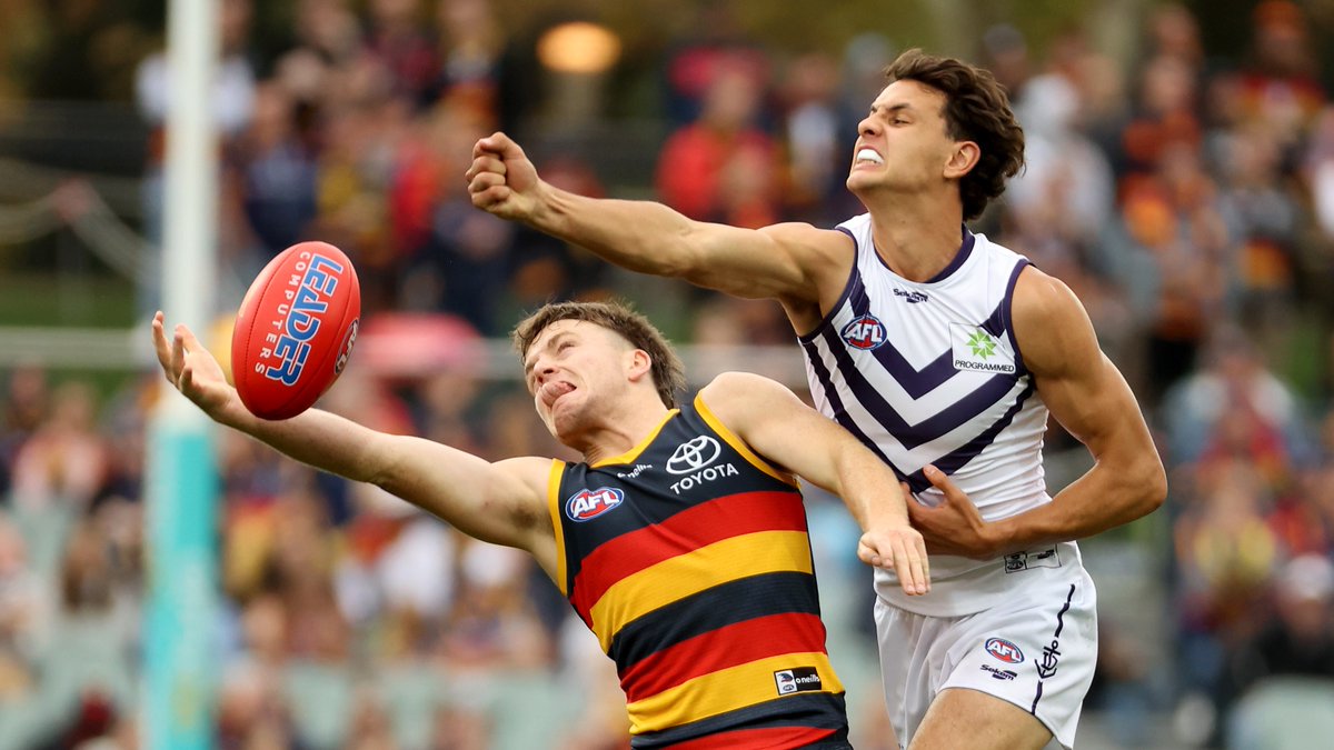 Fremantle Dockers tweet media