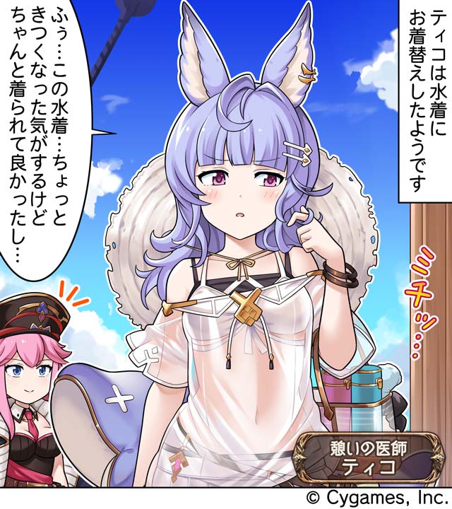 グランブルーファンタジー Granbluefantasy Twitter