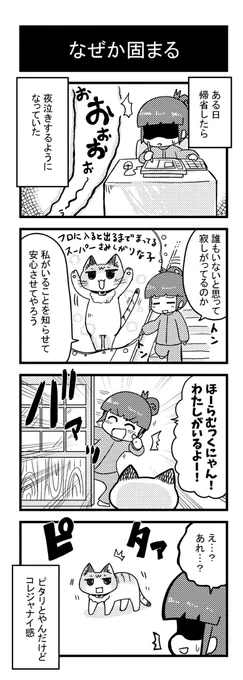 世界中のネコチャン達が幸せでありますように!!! 