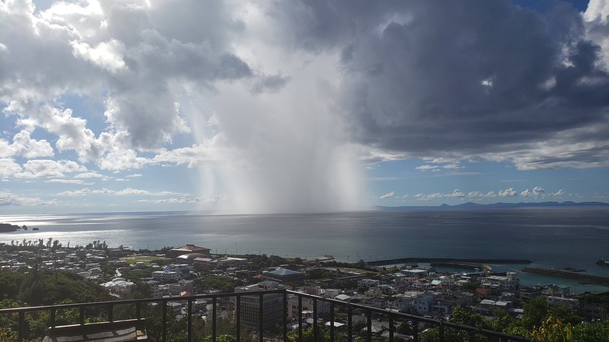 andreanhanley's tweet photo. It's amazing to witness something like this almost daily https://t.co/TBg0BZeiZG