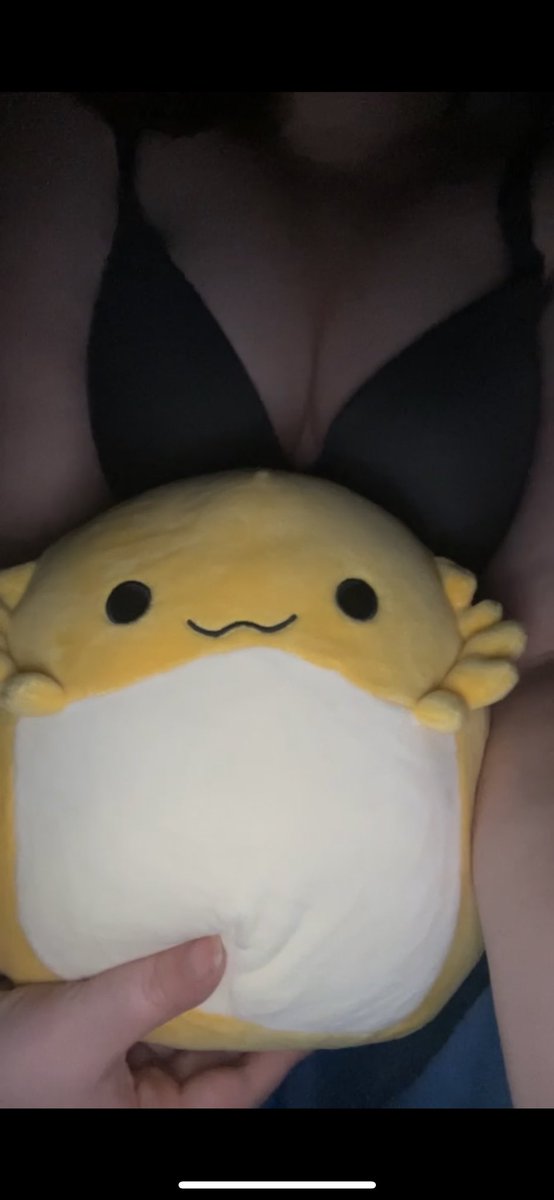 got a new lil guy at the store earlier! his name is bertwin <3333