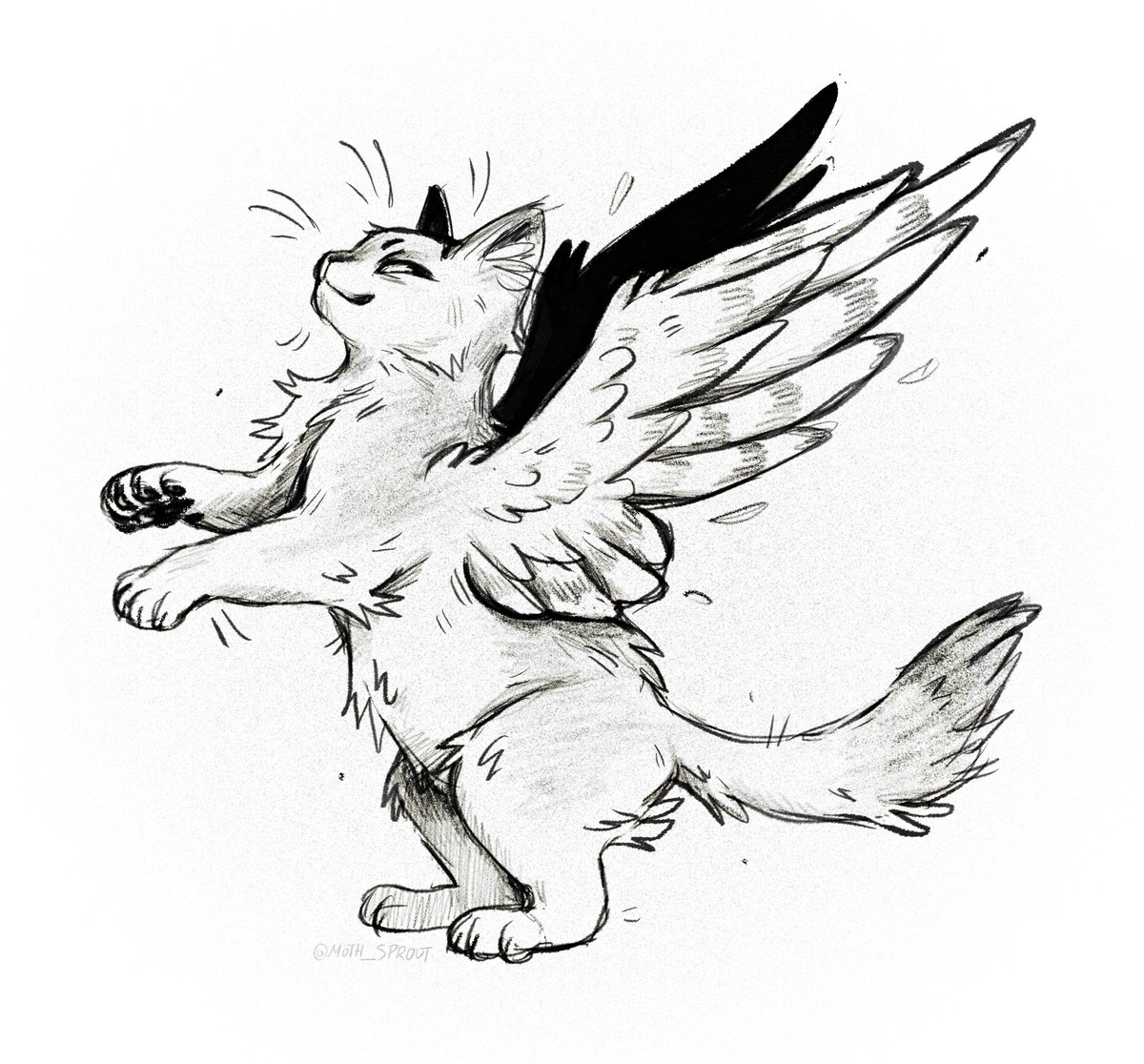 They should let cats have wings