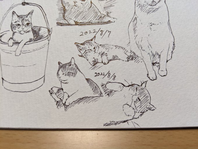 世界ネコの日ですって カキカキ。 