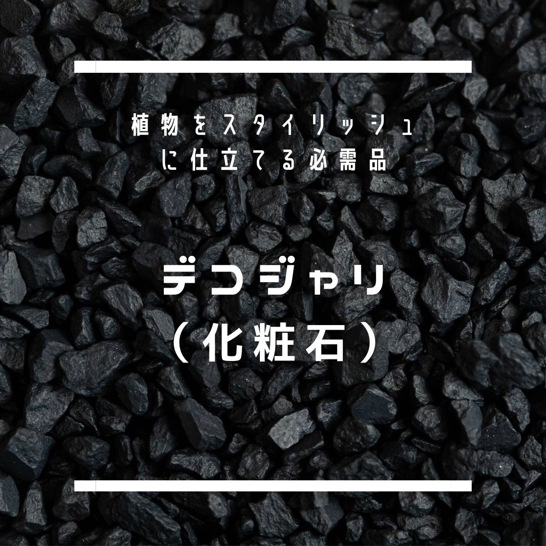 monkey_plants's tweet photo. おはようございます🌞
デコジャリ プレゼント沢山のご応募ありがとうございました🙇♂️
当選者さんにDM送りましたのでご確認おねがいします🤲
ウェブショップでも販売してますので、気になった方はチェックしてみてください🙏
#デコジャリ
#monkeyplants
#プレゼント企画 https://t.co/fxd5KxBpNd