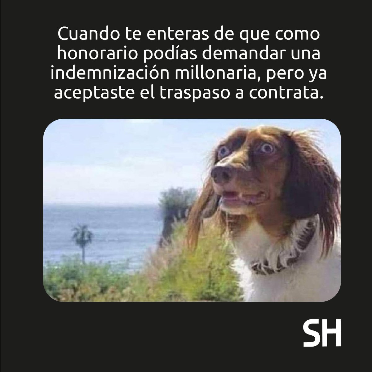soyhonorariocl's tweet photo. Todo trabajador a #honorarios debe saber que la Corte Suprema le reconoce derechos laborales. https://t.co/1TyU2tCA4K